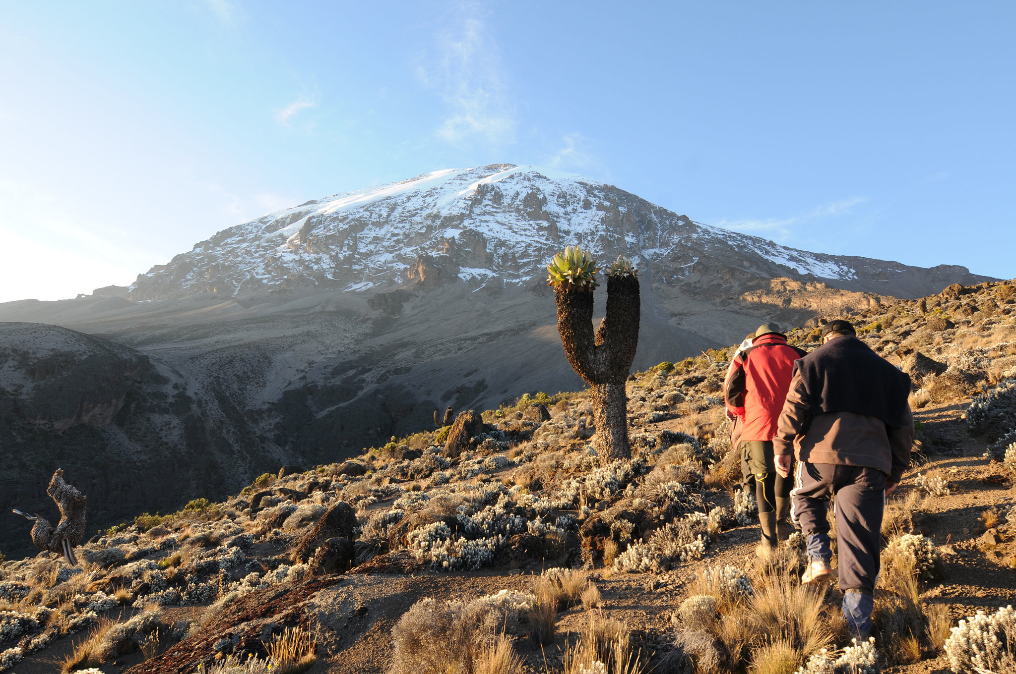 Machame 8 Days Climb