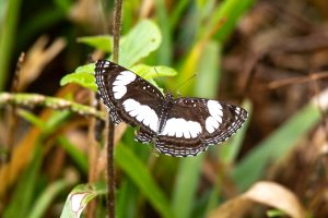 Udzungwa National Park